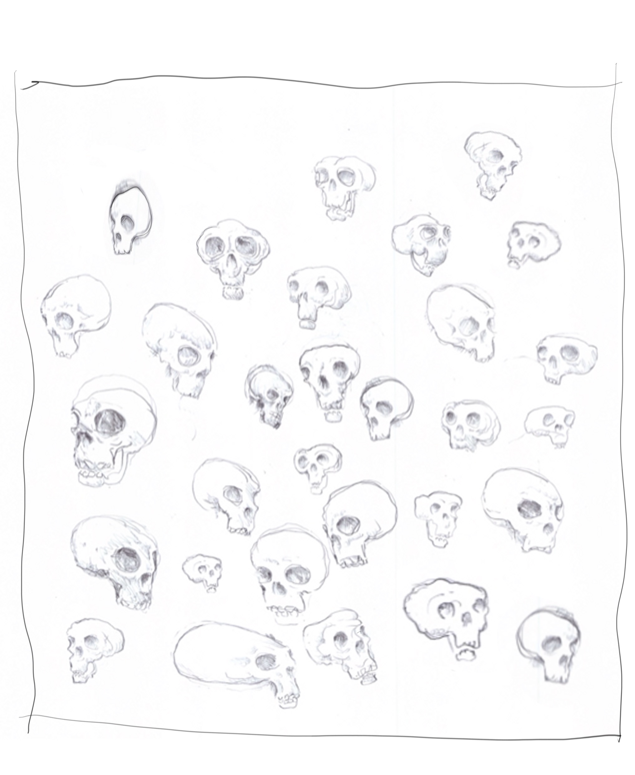 The Skulls